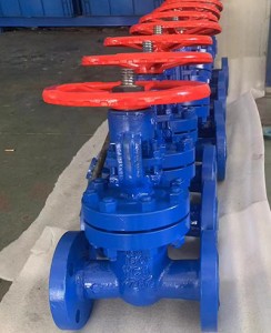 Gate valve-4