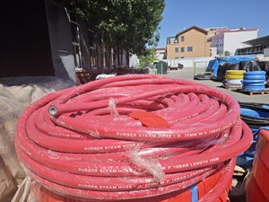 Steam hose-2